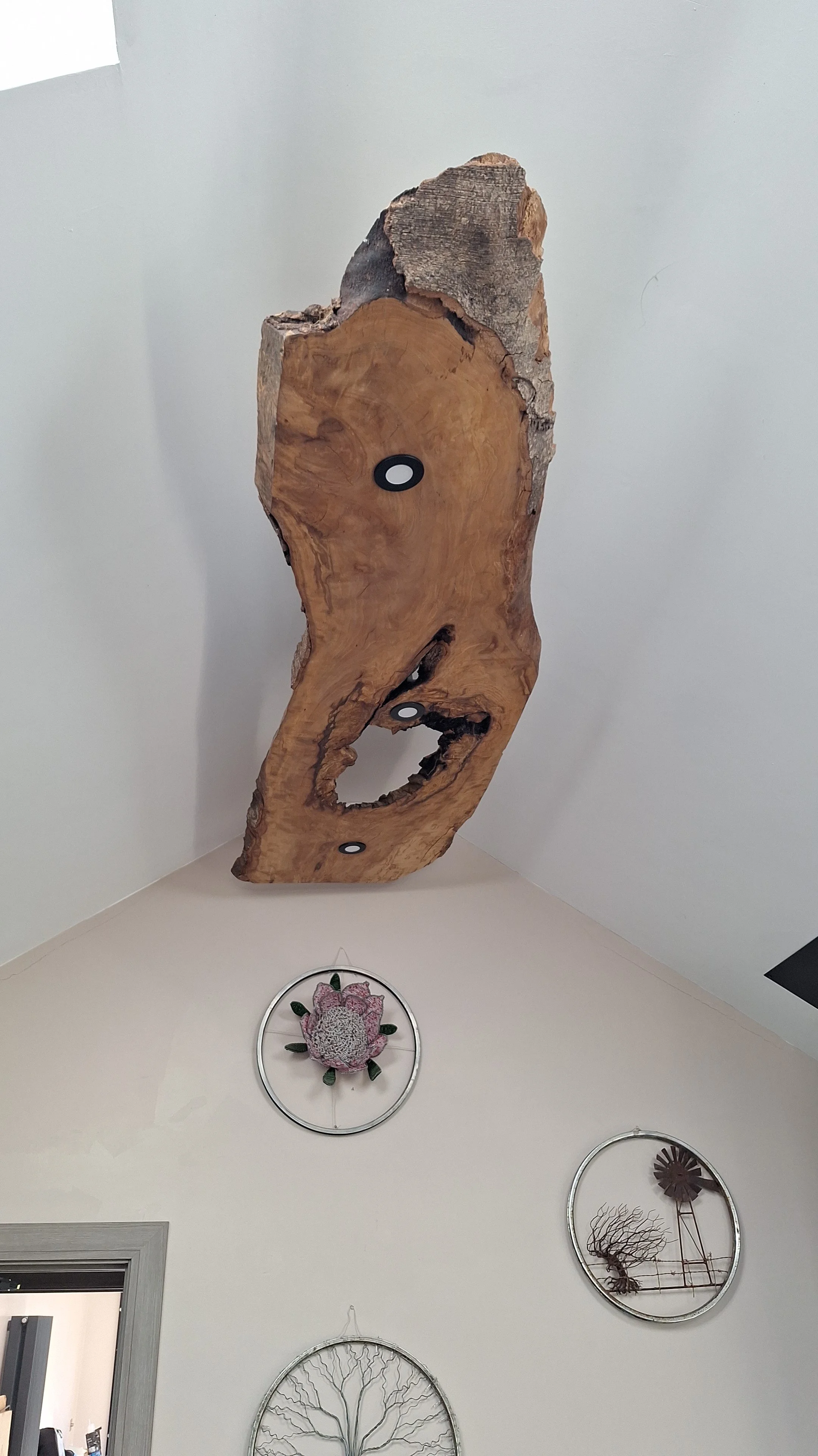 IMG-20260314-WA0019.jpeg