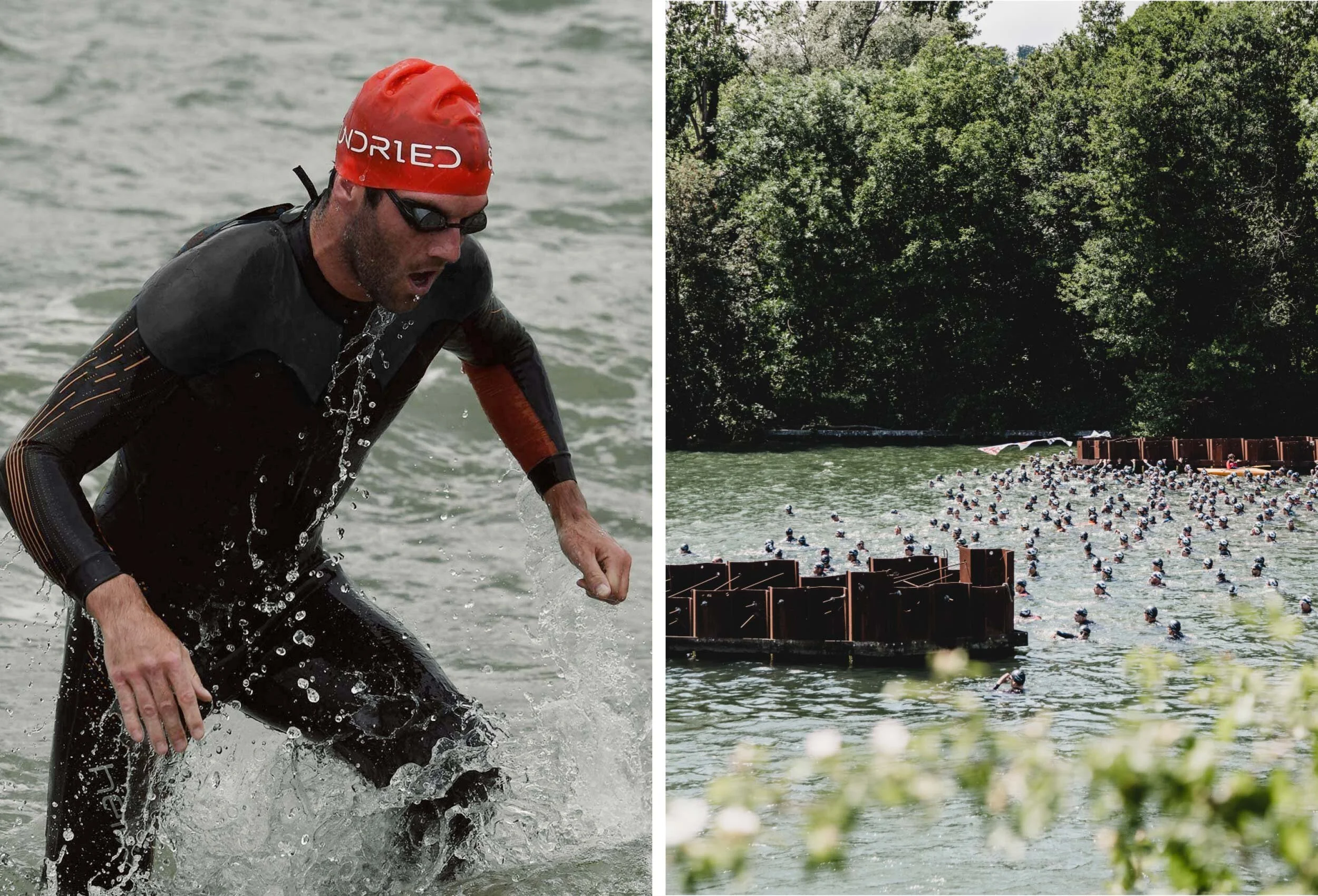Sundried_swimmer.jpg