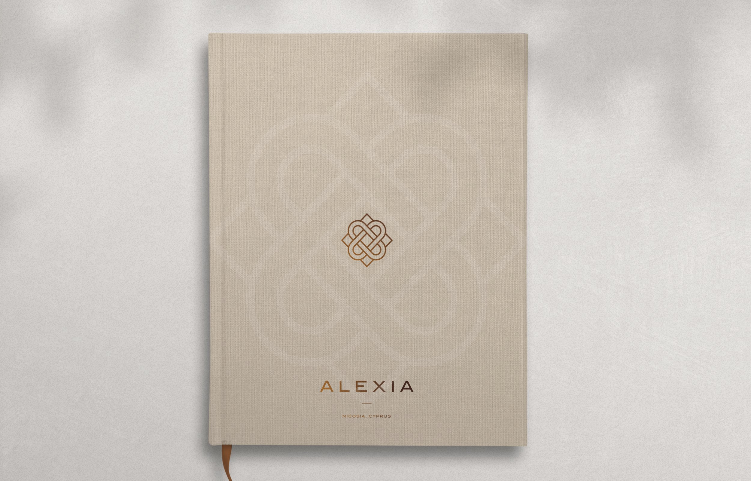Case study_Alexia_14.jpg