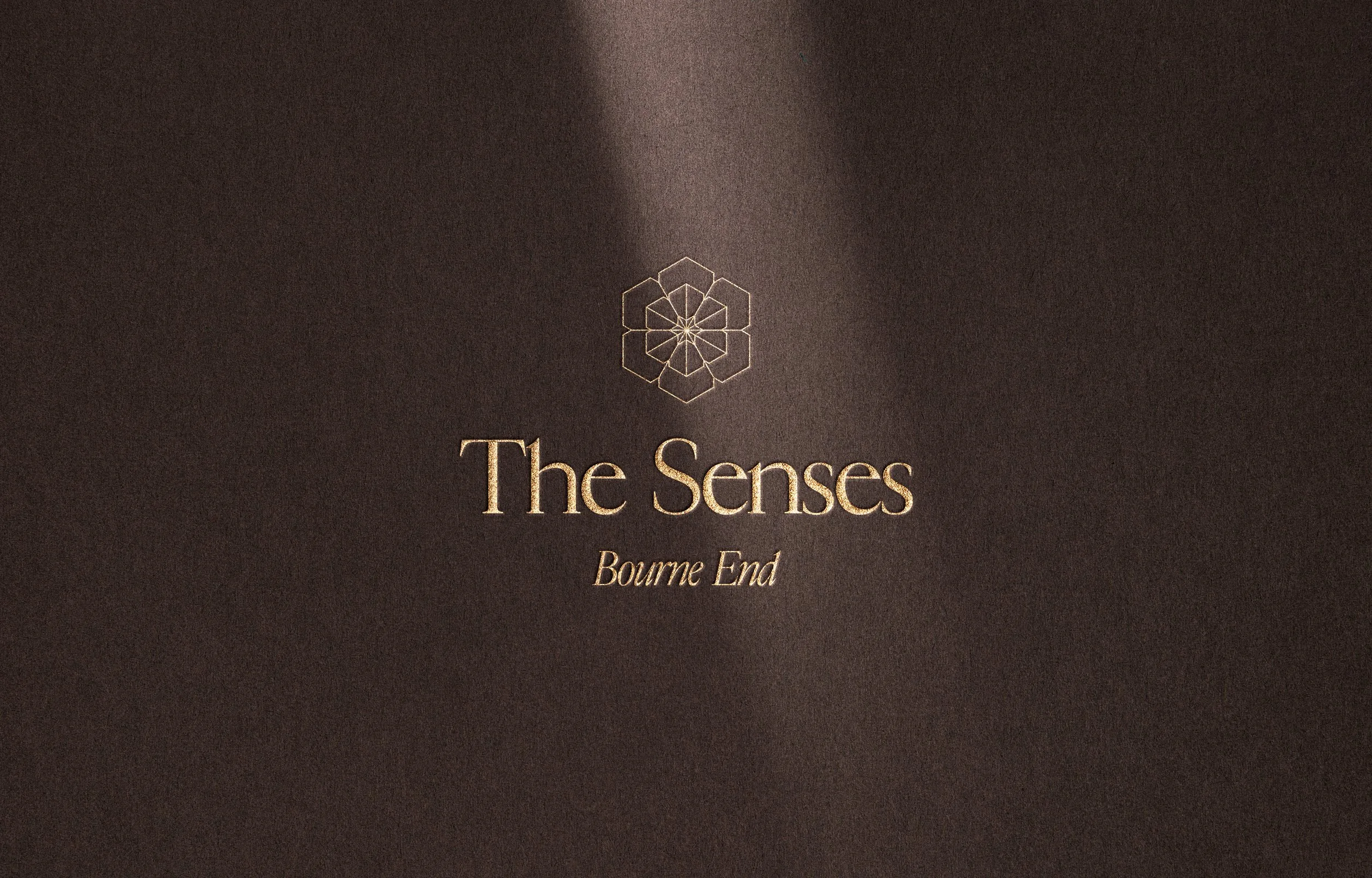 TheSenses_logo.jpg