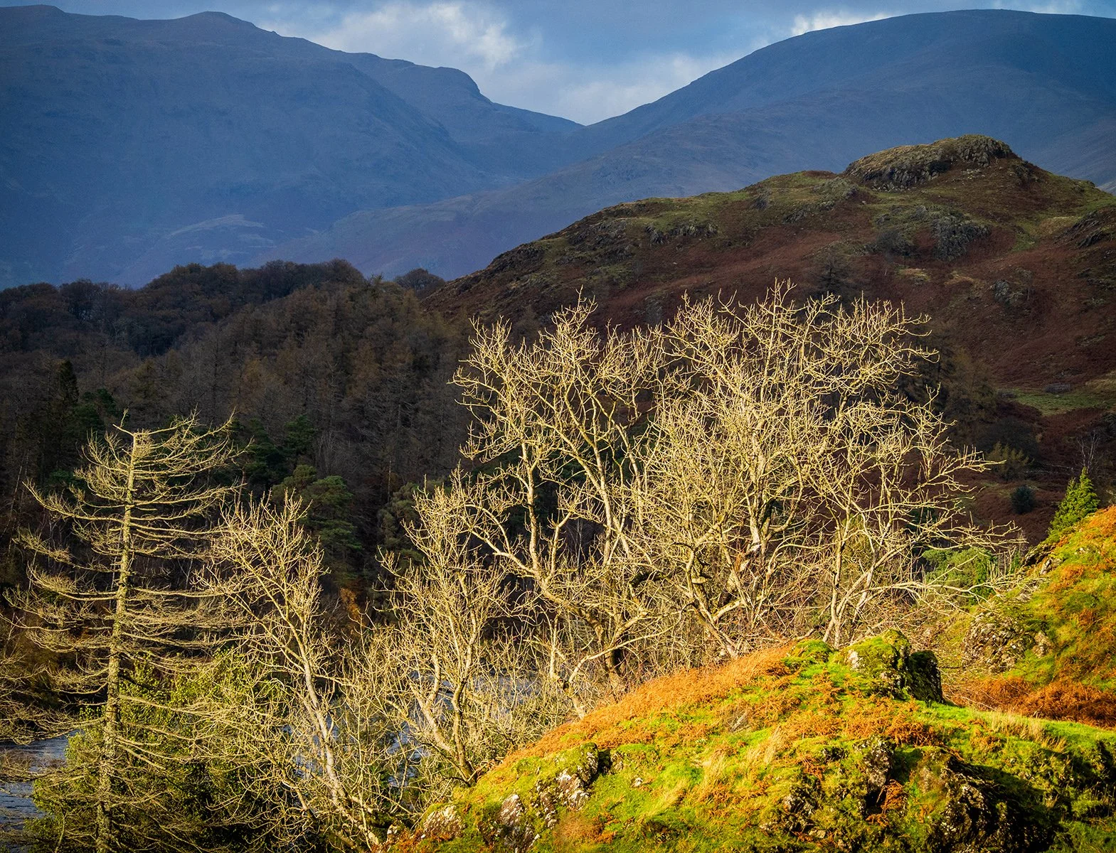 Above Tarn Hows
