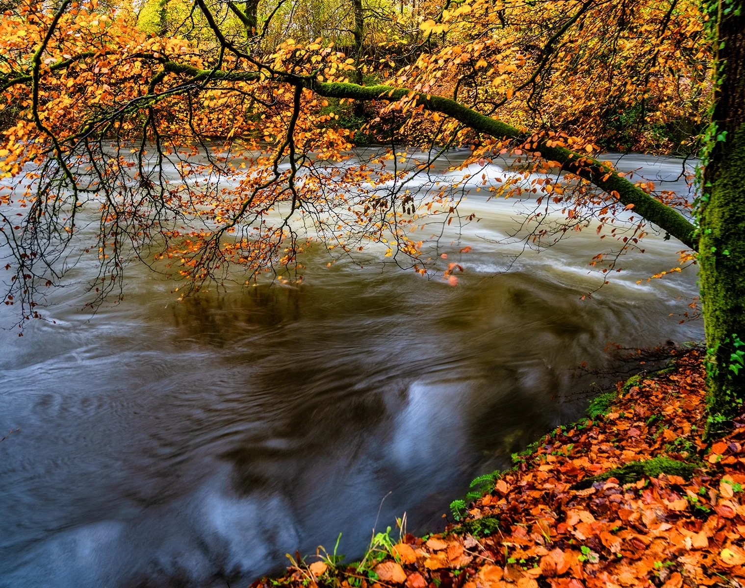 River Brathay at Clappersgate