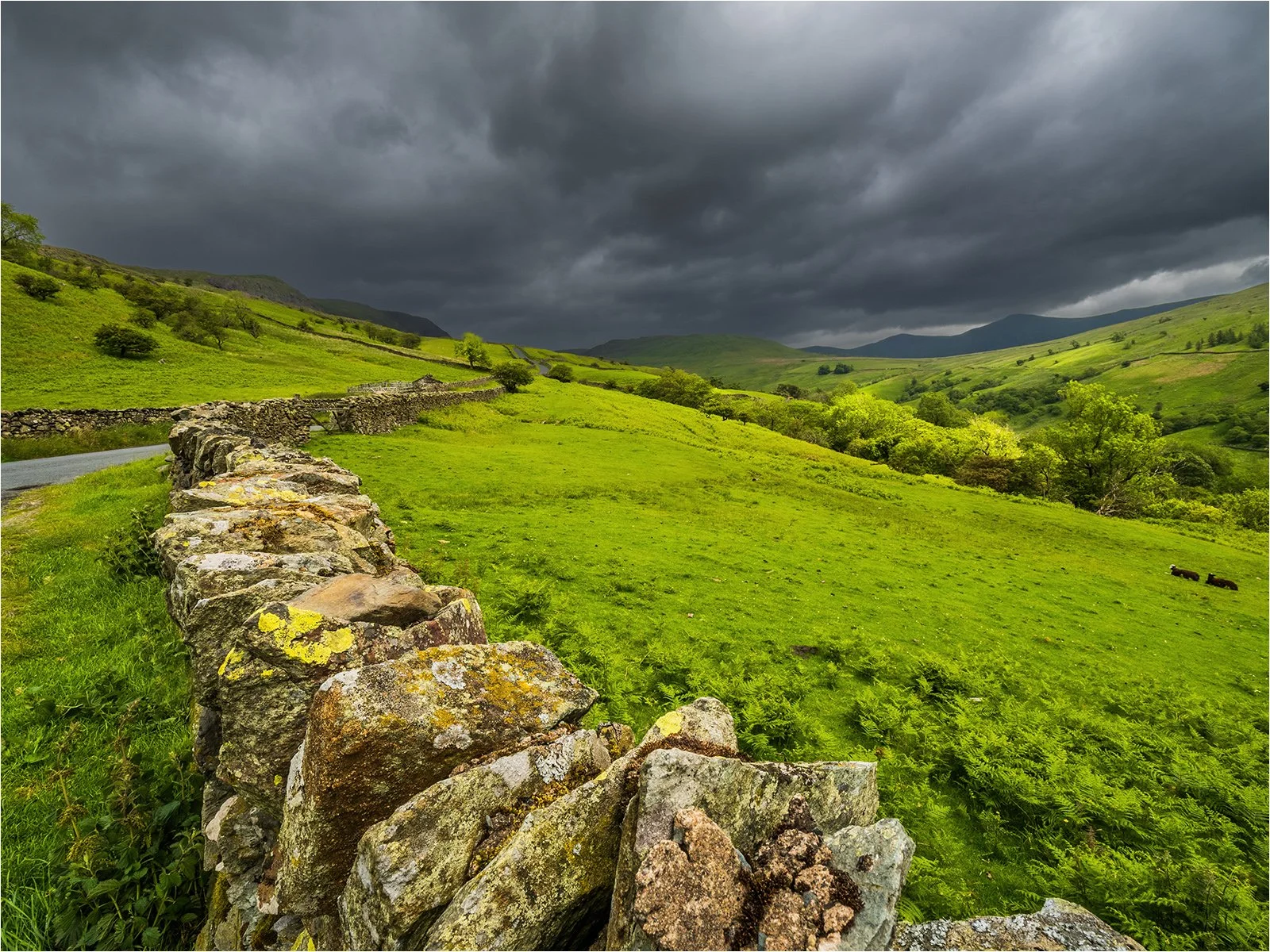 The Struggle in June