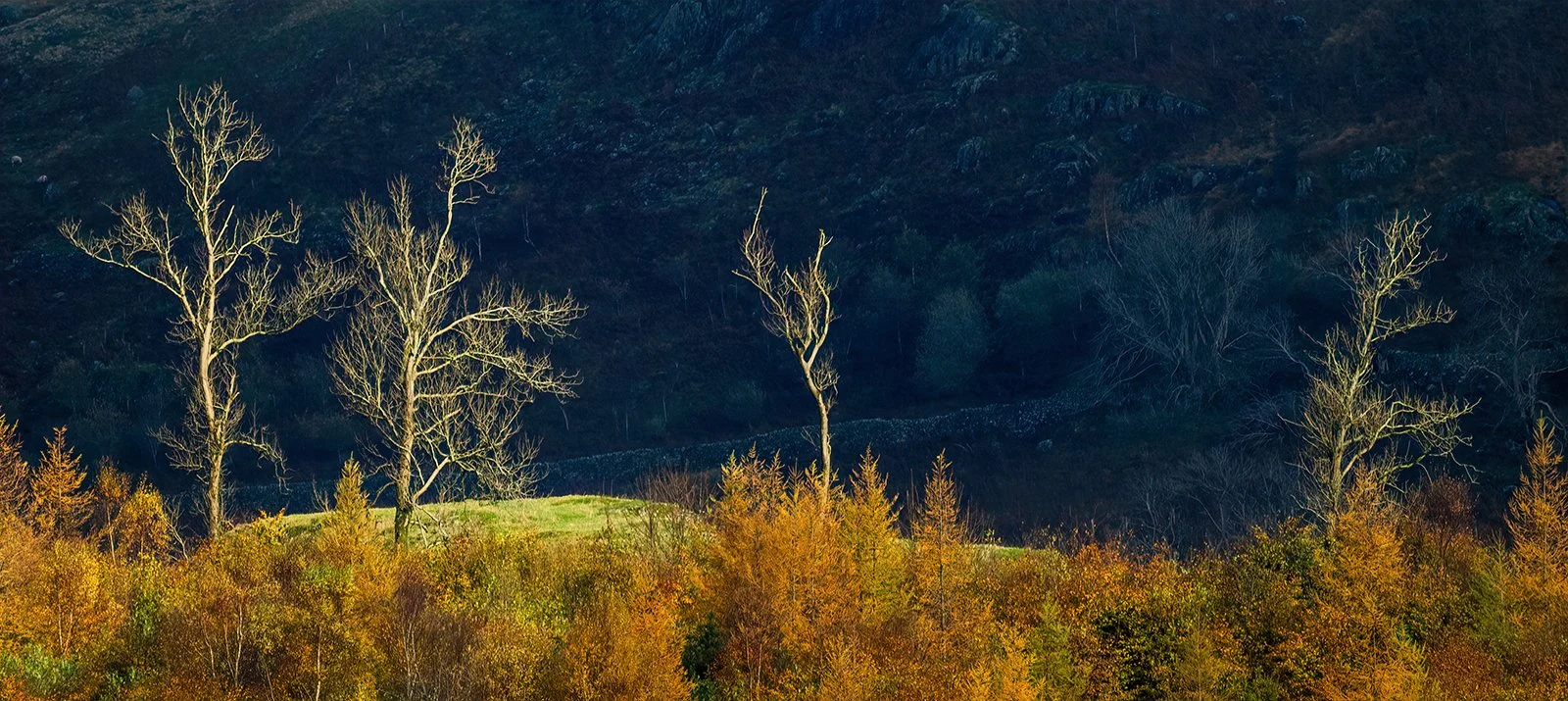 Above Thirlmere