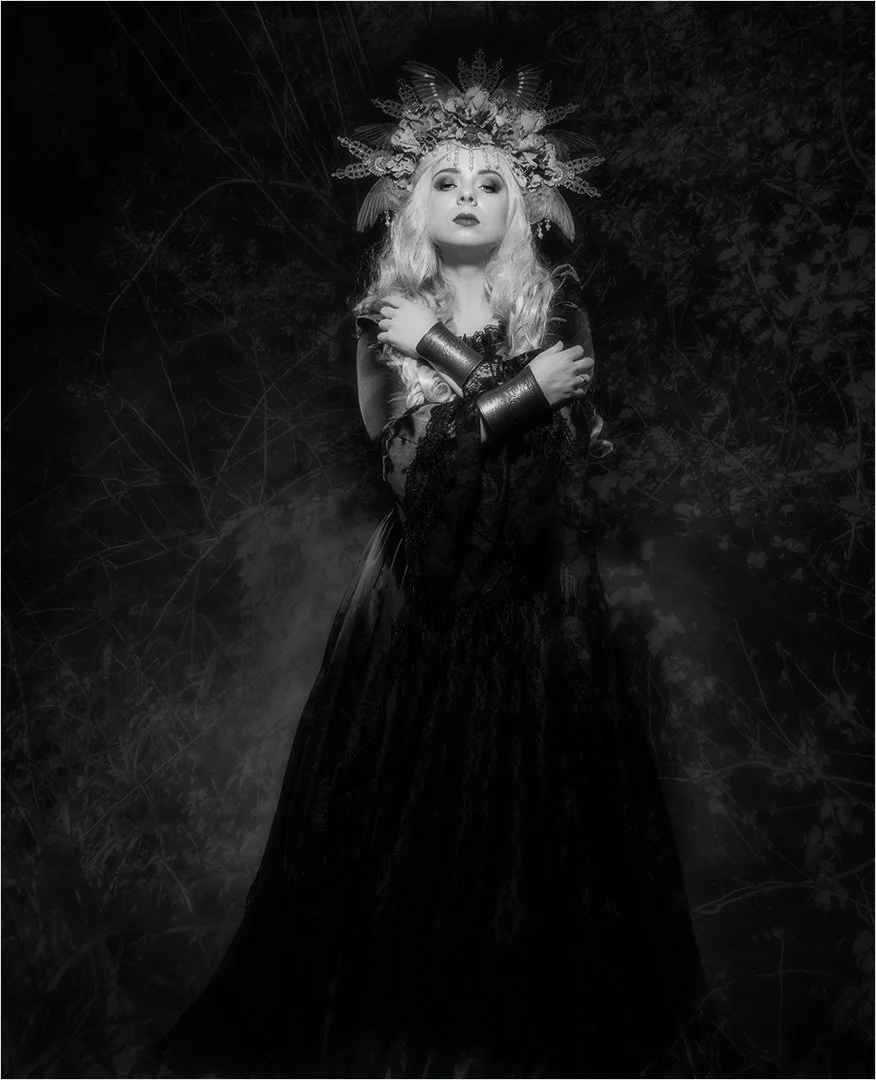 The Dark Princess.jpg
