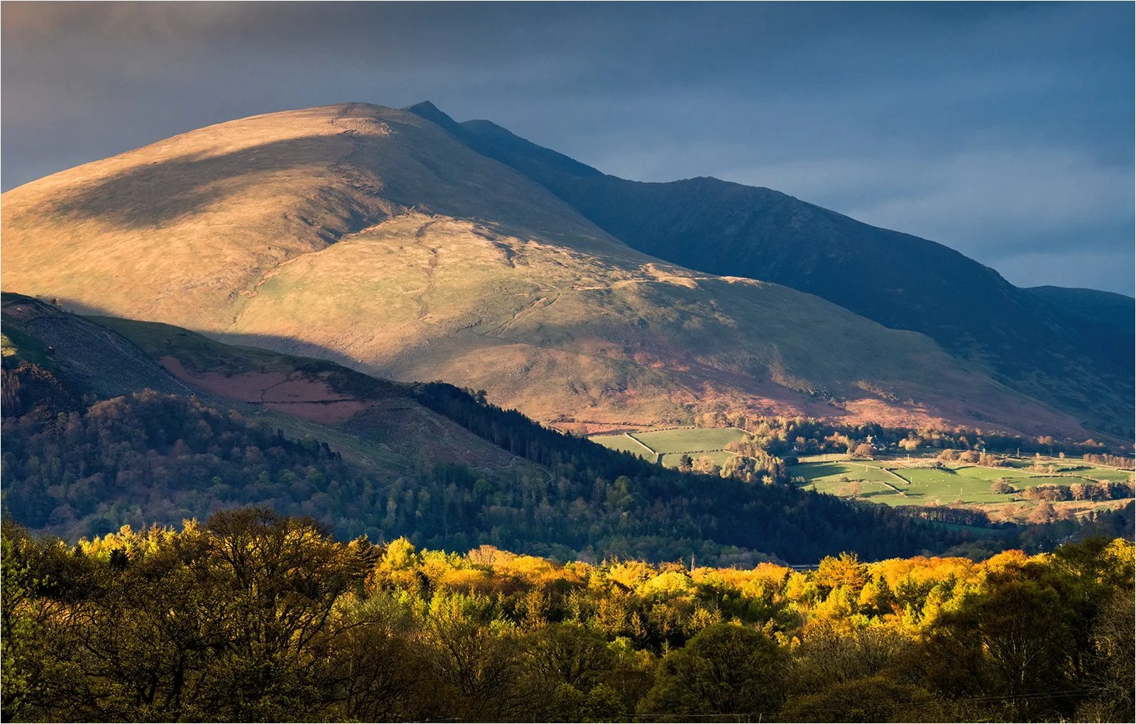Evening Light, Blencathra
