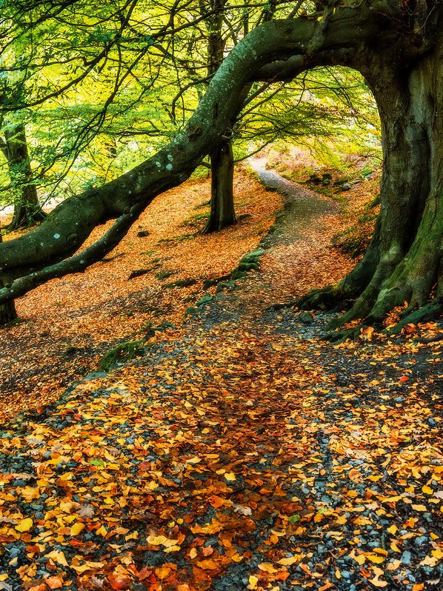 Ullswater Pathway