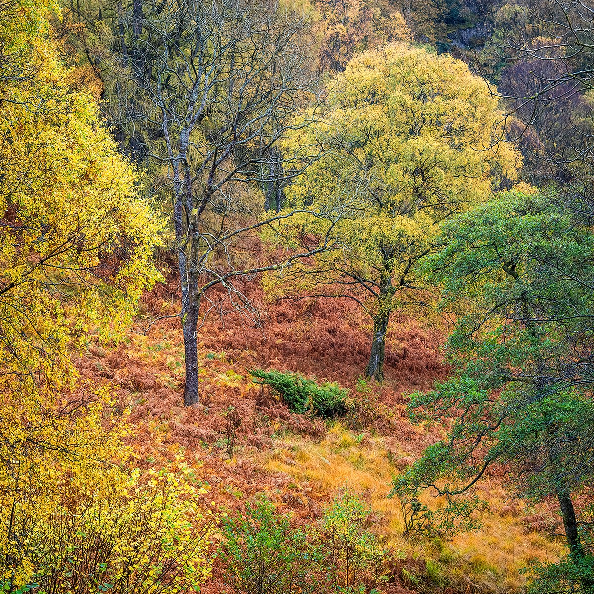 Above Thirlmere