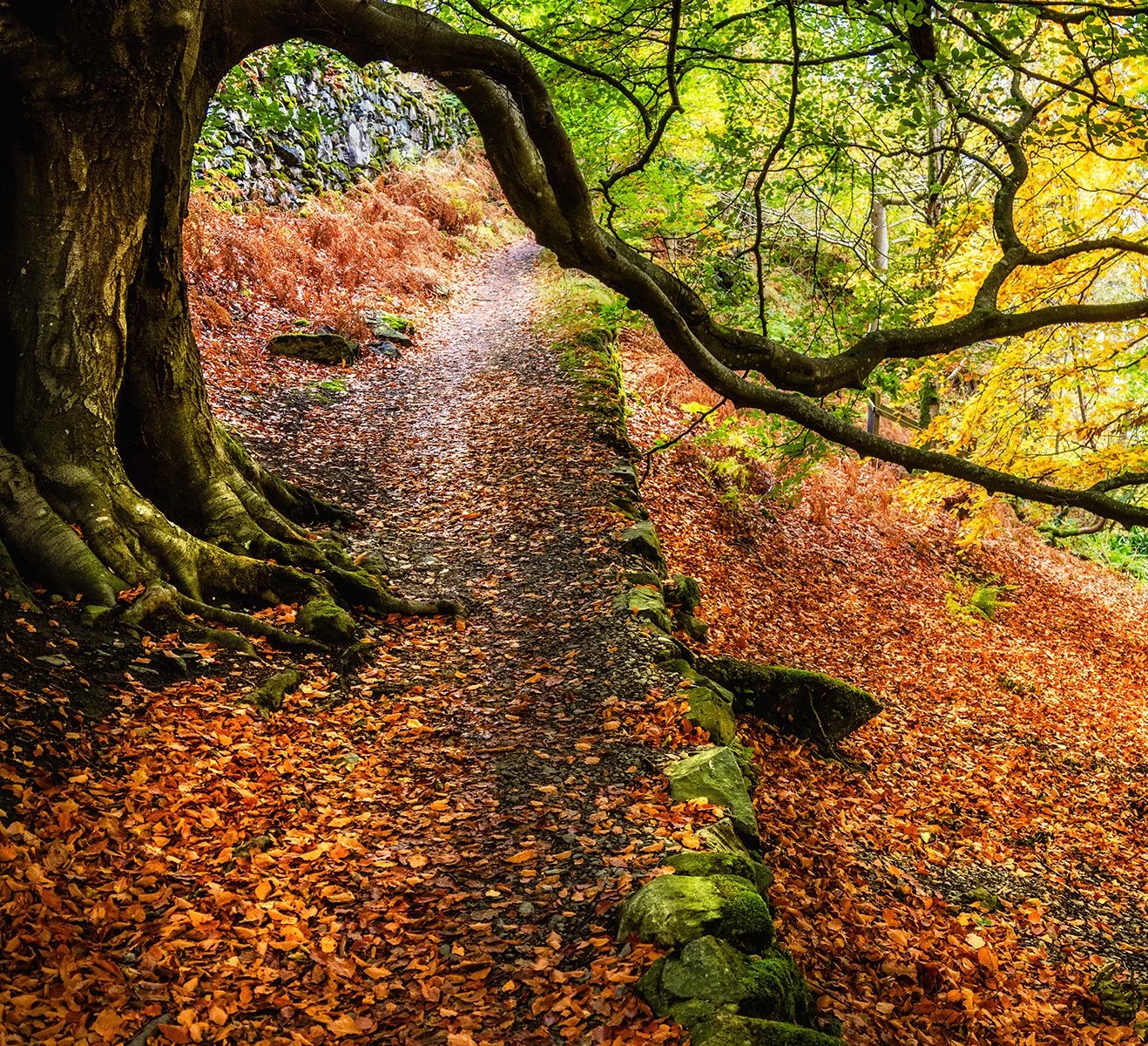 Ullswater Pathway