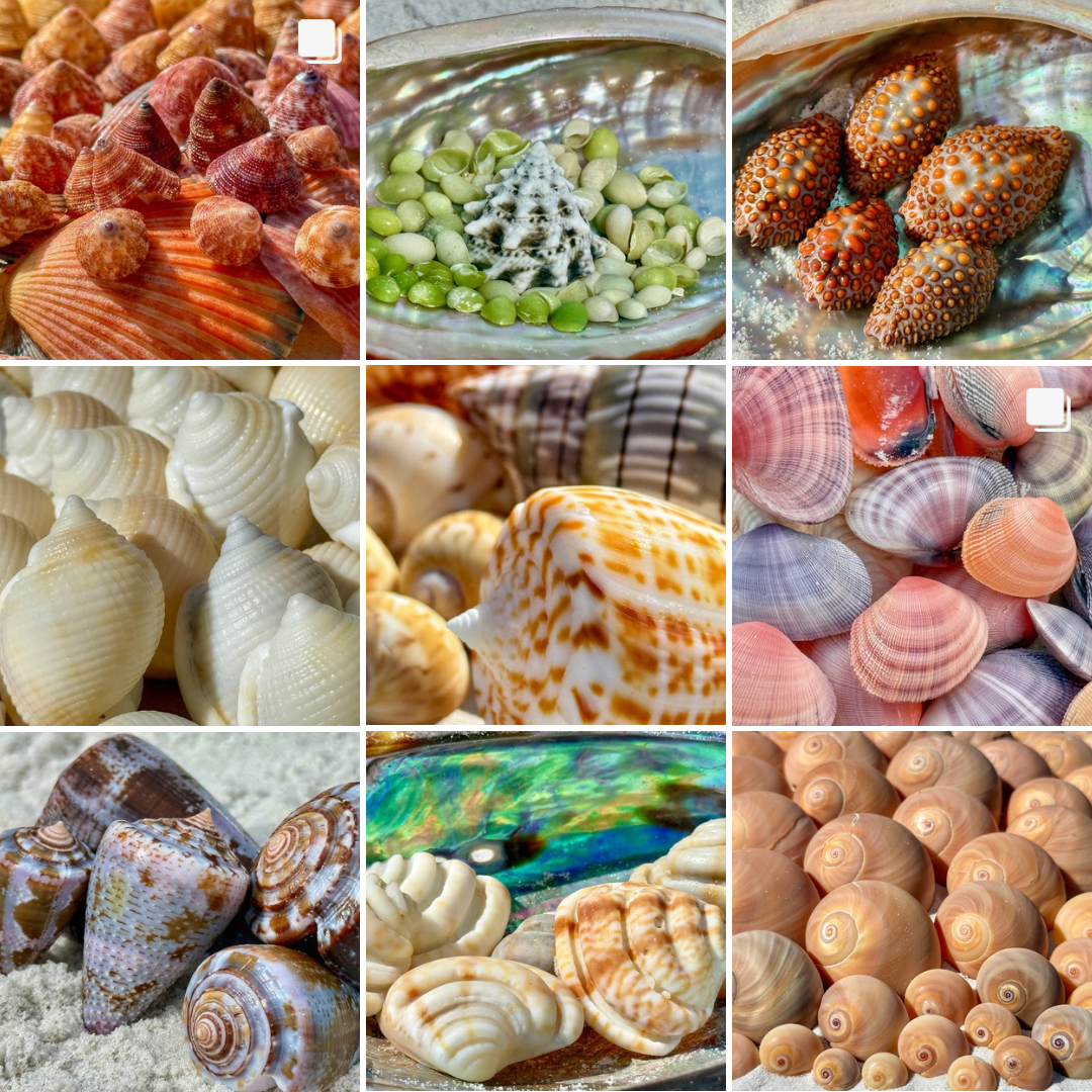 Beige Grey Neutral Pastel Aesthetic Simple Grid Planner Collage Instagram Post.png