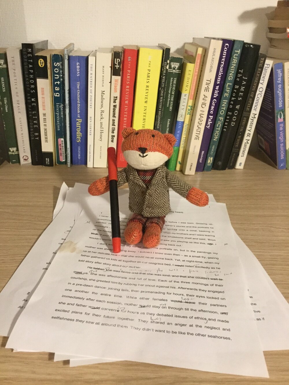 editor bear.jpeg