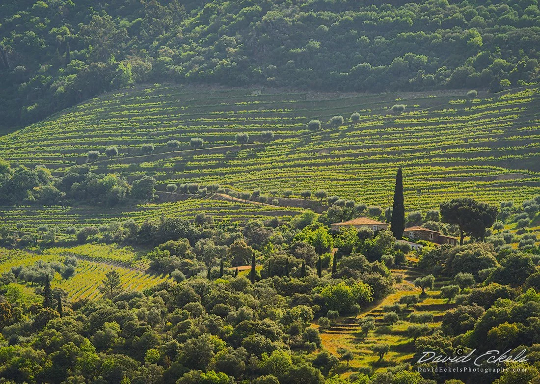 Douro River Idyllic.jpg