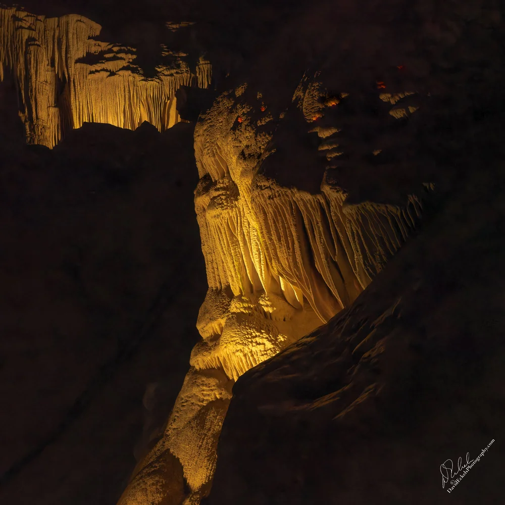 Shredder and His Assistants