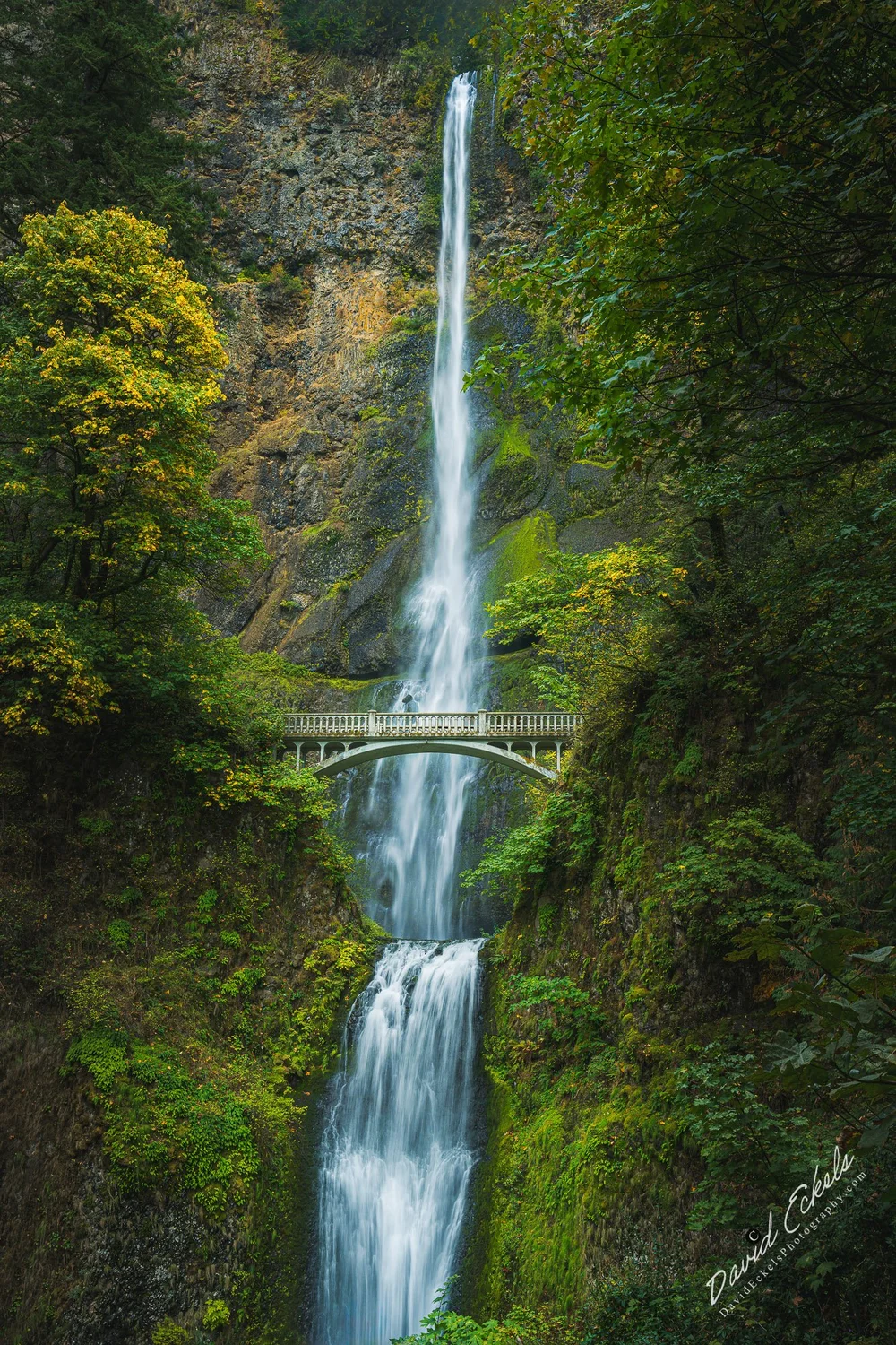 Multnomah Falls
