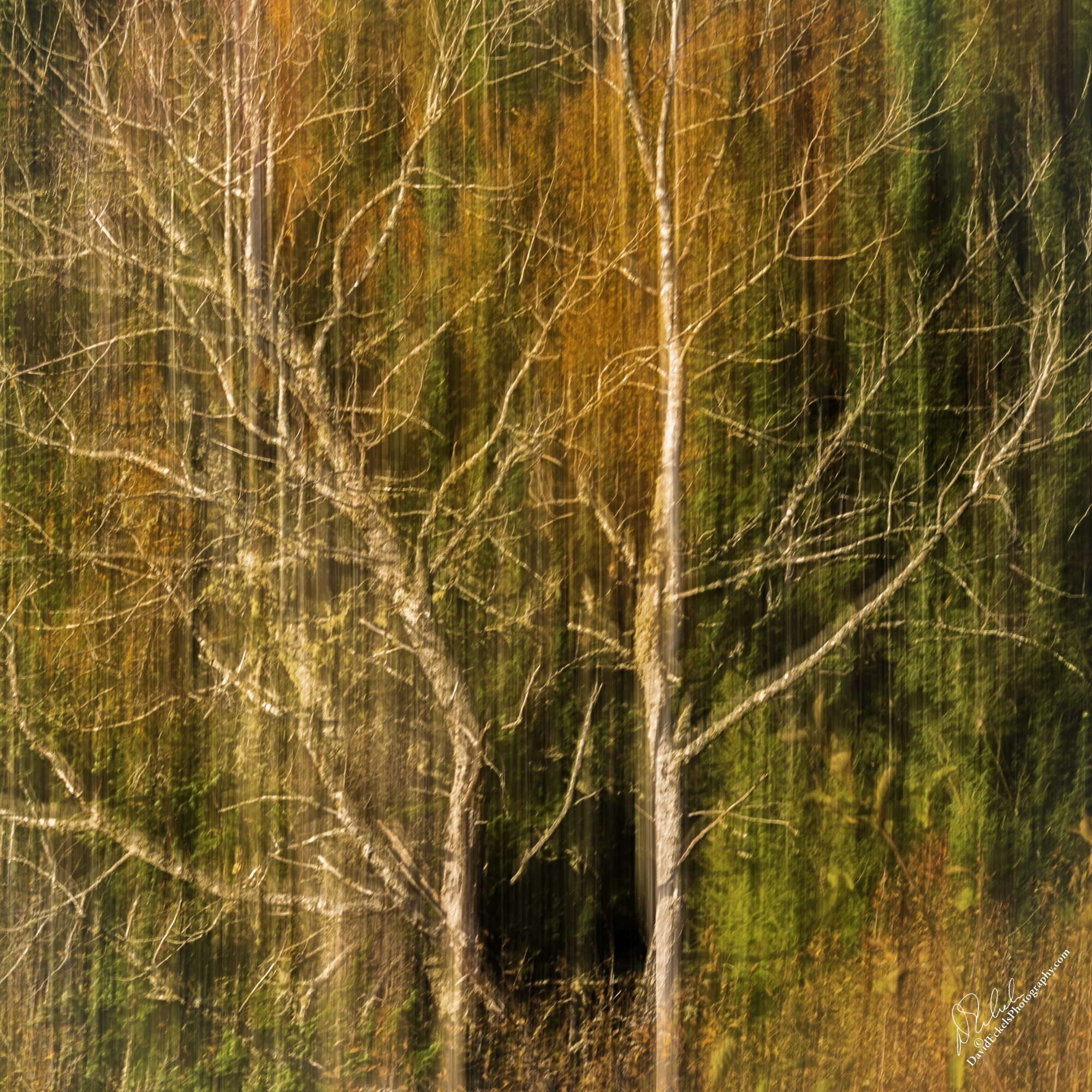 ICM 1.jpg