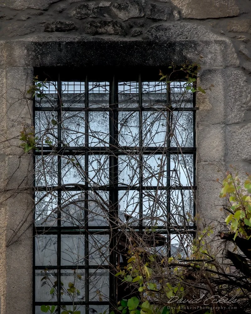 Porto-Window.jpg
