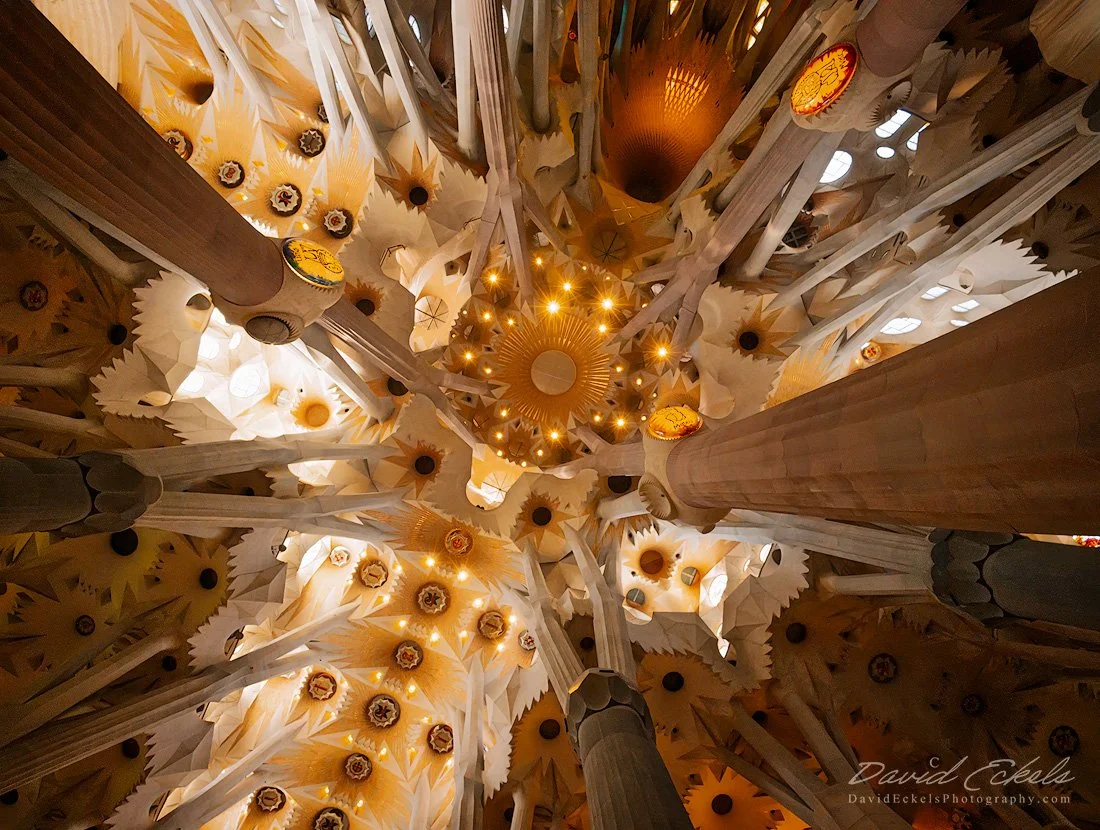 Sagrada Familia Ceiling