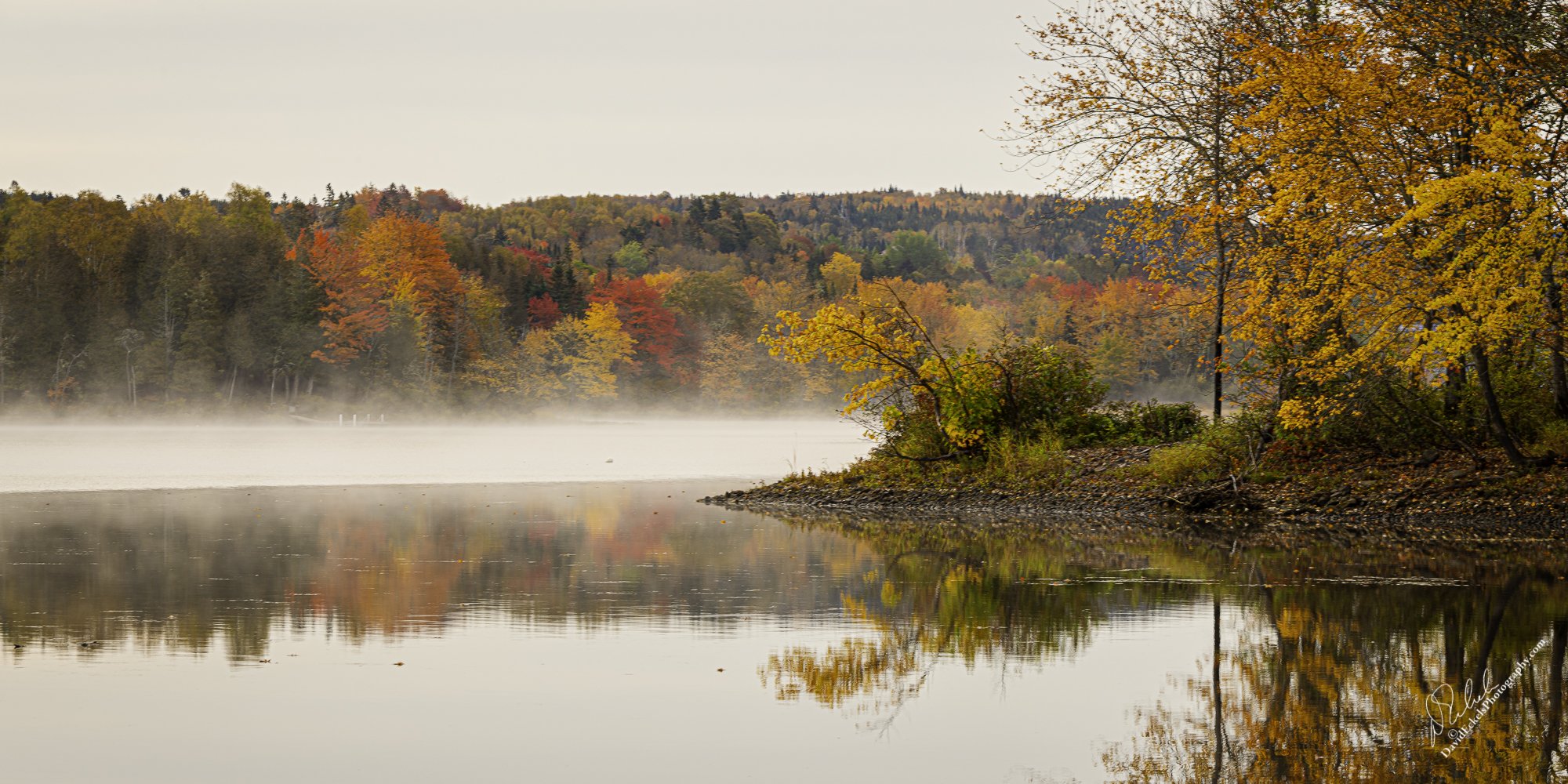 _8521296-Edit.jpg