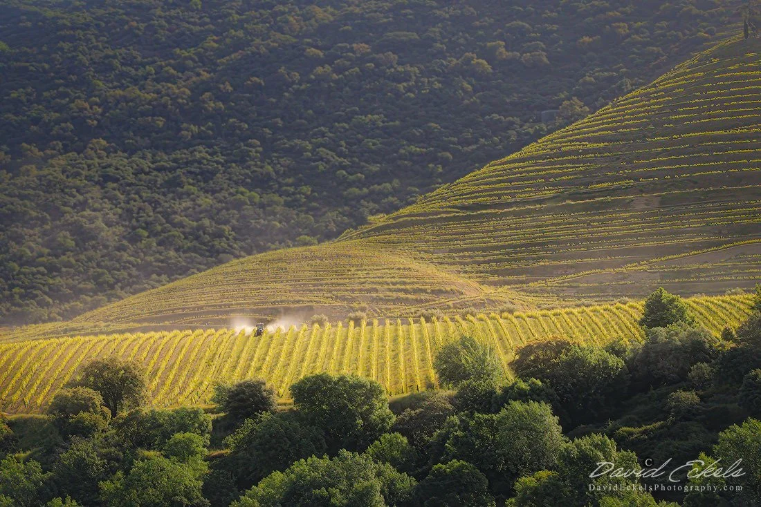 Douro River Dusty Field.jpg