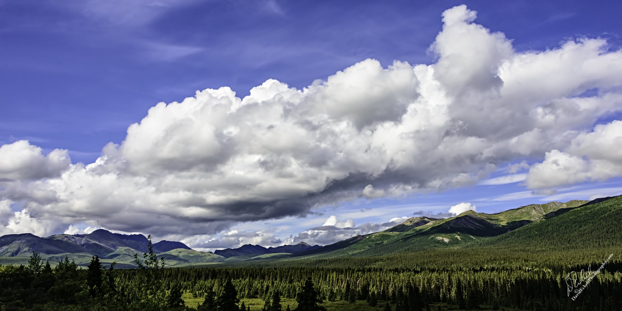 Denali Clouds.jpg