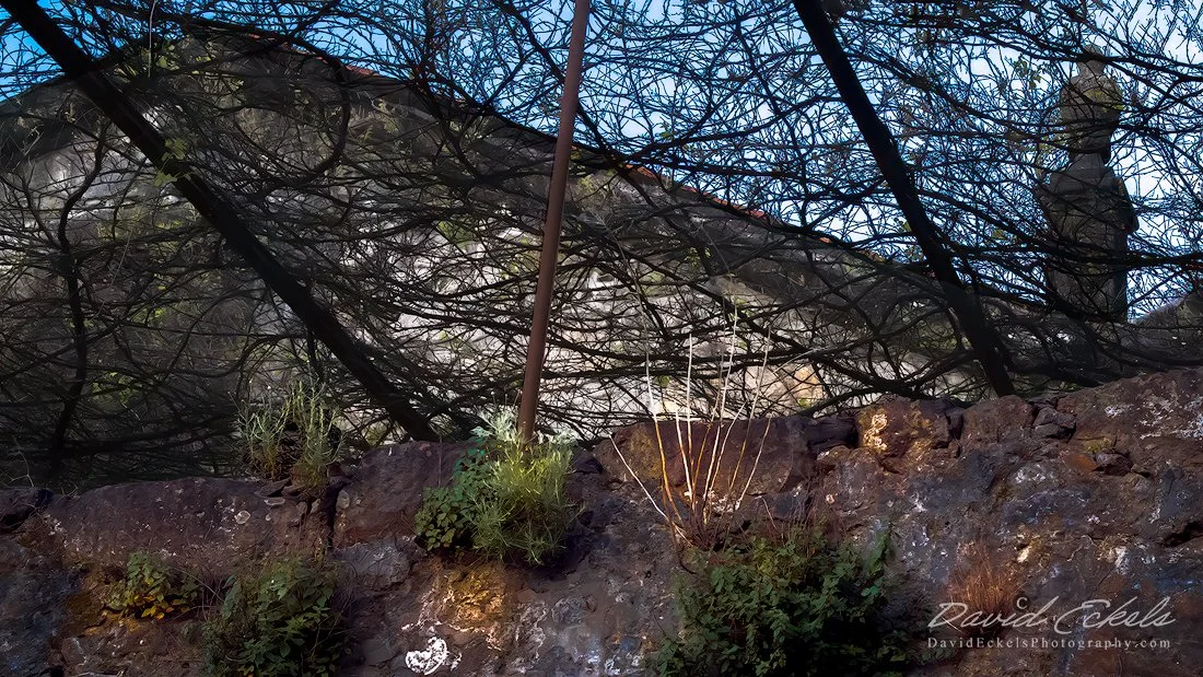 Light-on-Porto-Wall.jpg