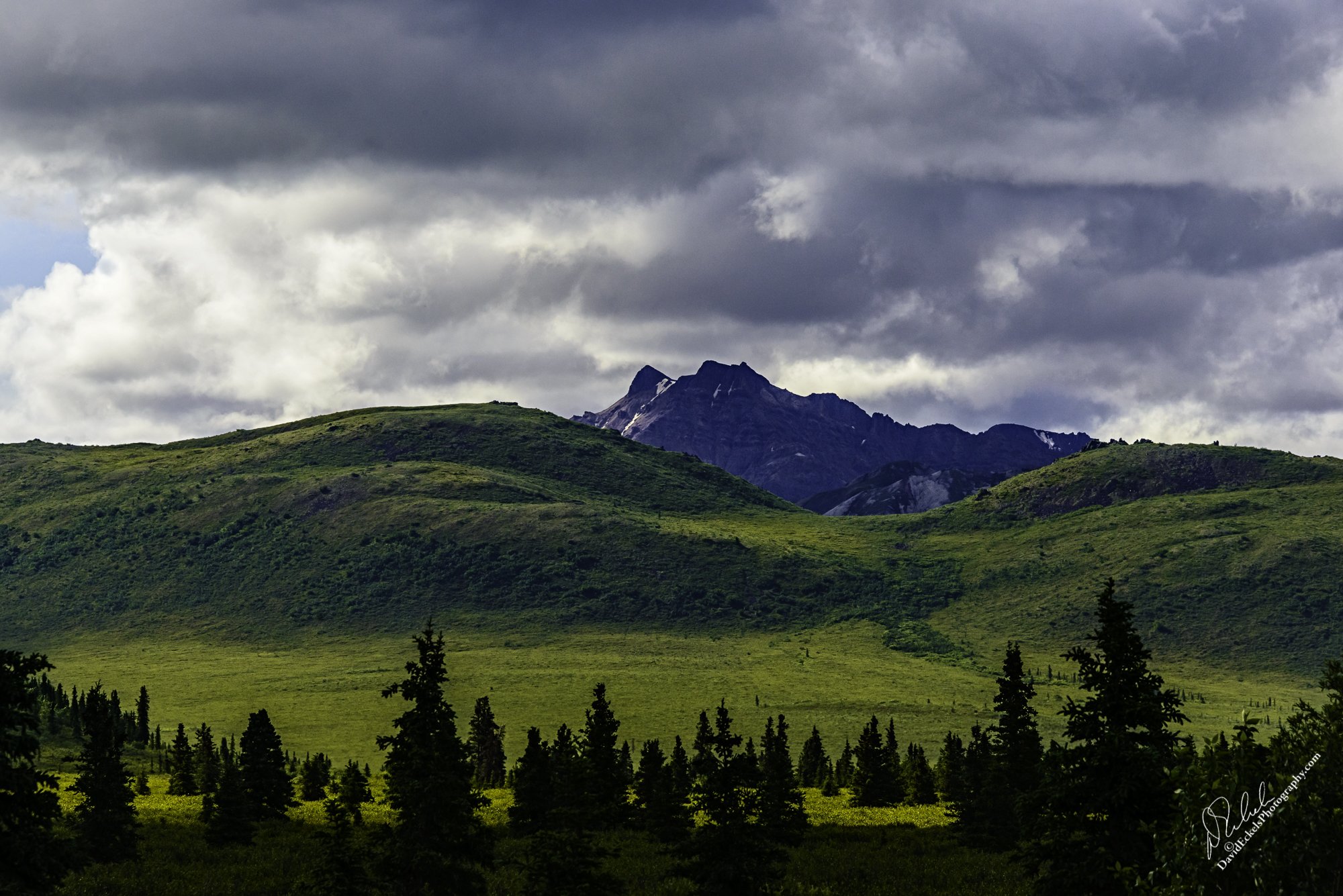 Denali Peak.jpg