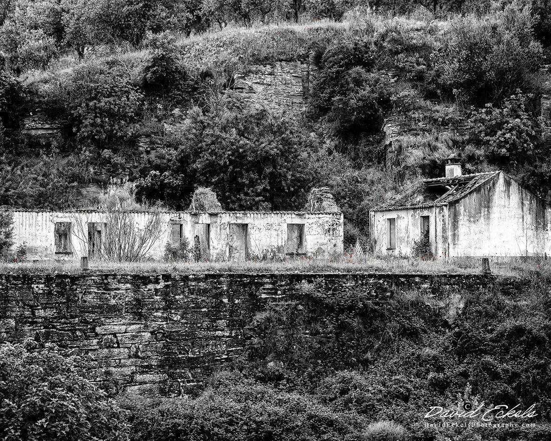 Douro River For Sale-Will Carry