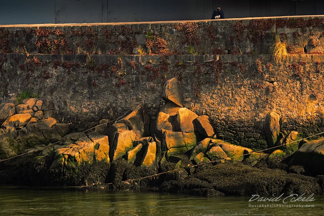 Porto Inattention.jpg