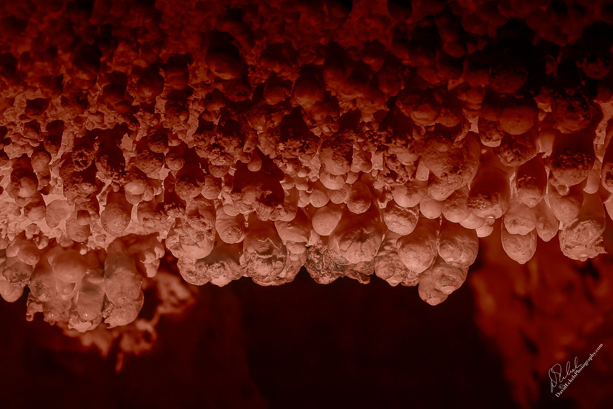 Souls Into Worms