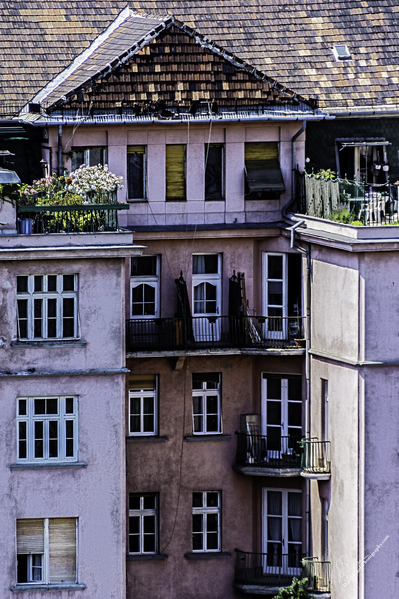 Buda Apartments.jpg