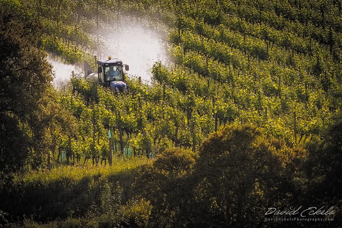 Douro Tractor.jpg