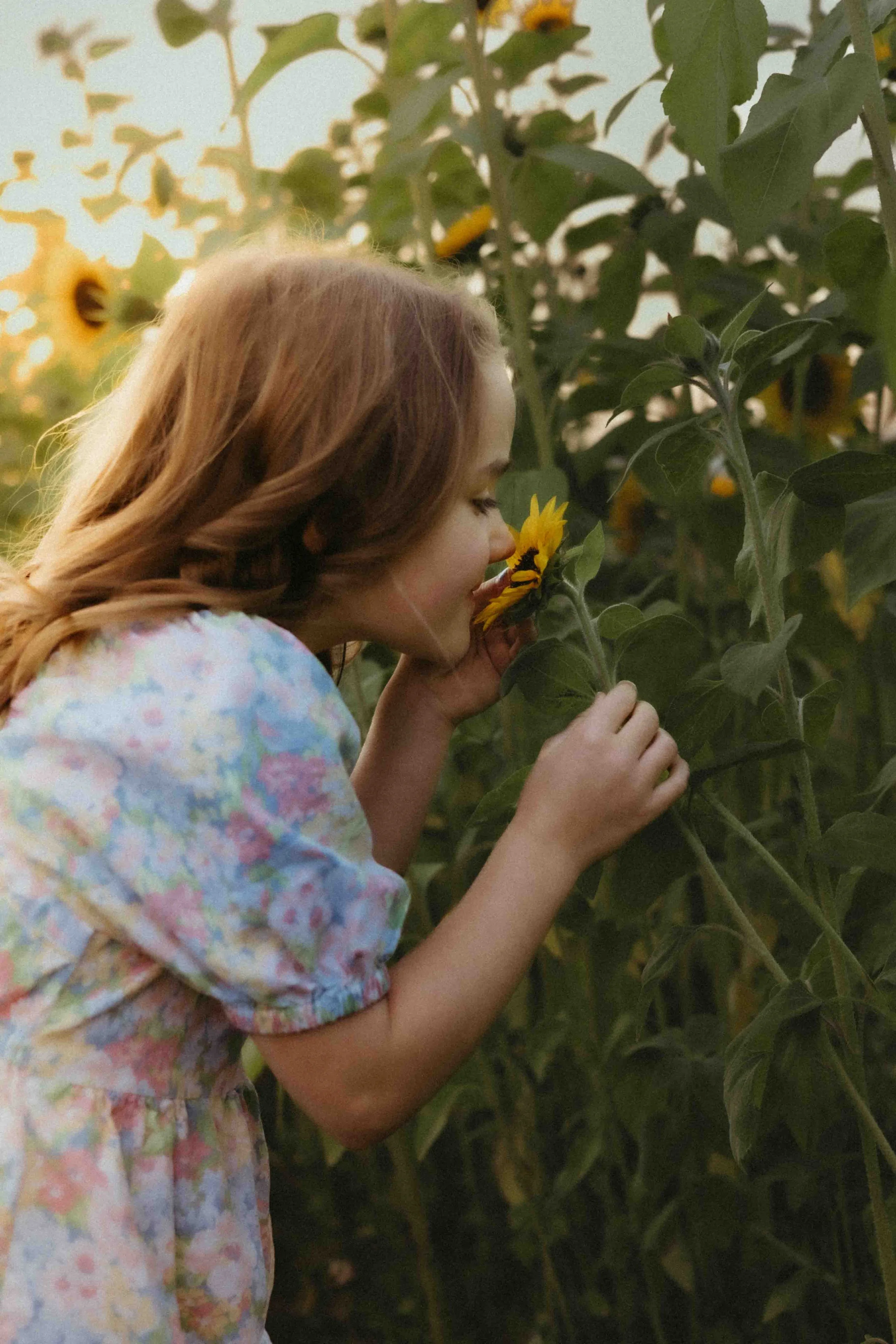 Sunflower Sessions at Bowden — Glow & Grow