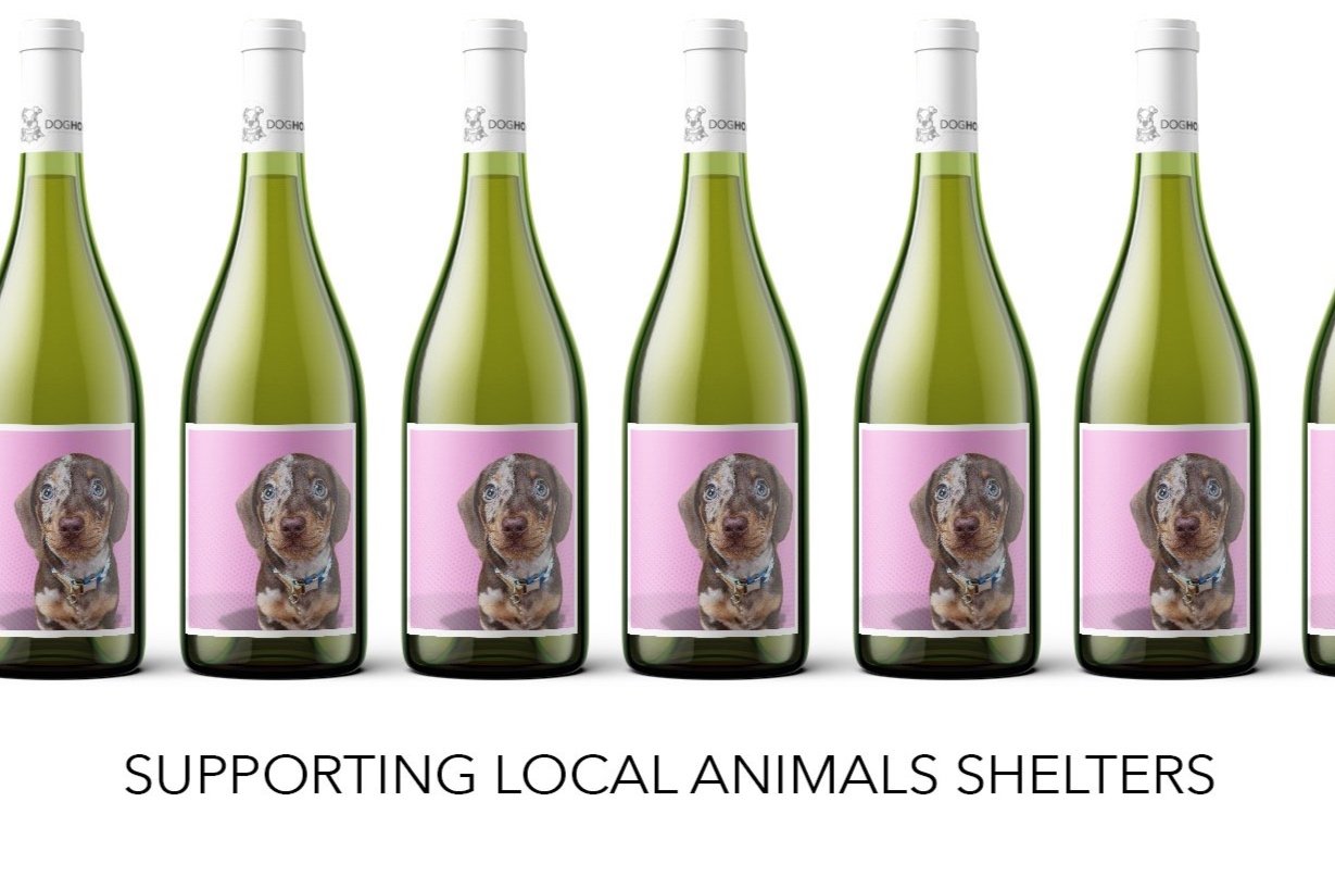 DHW Logo & Bottles_1.jpg