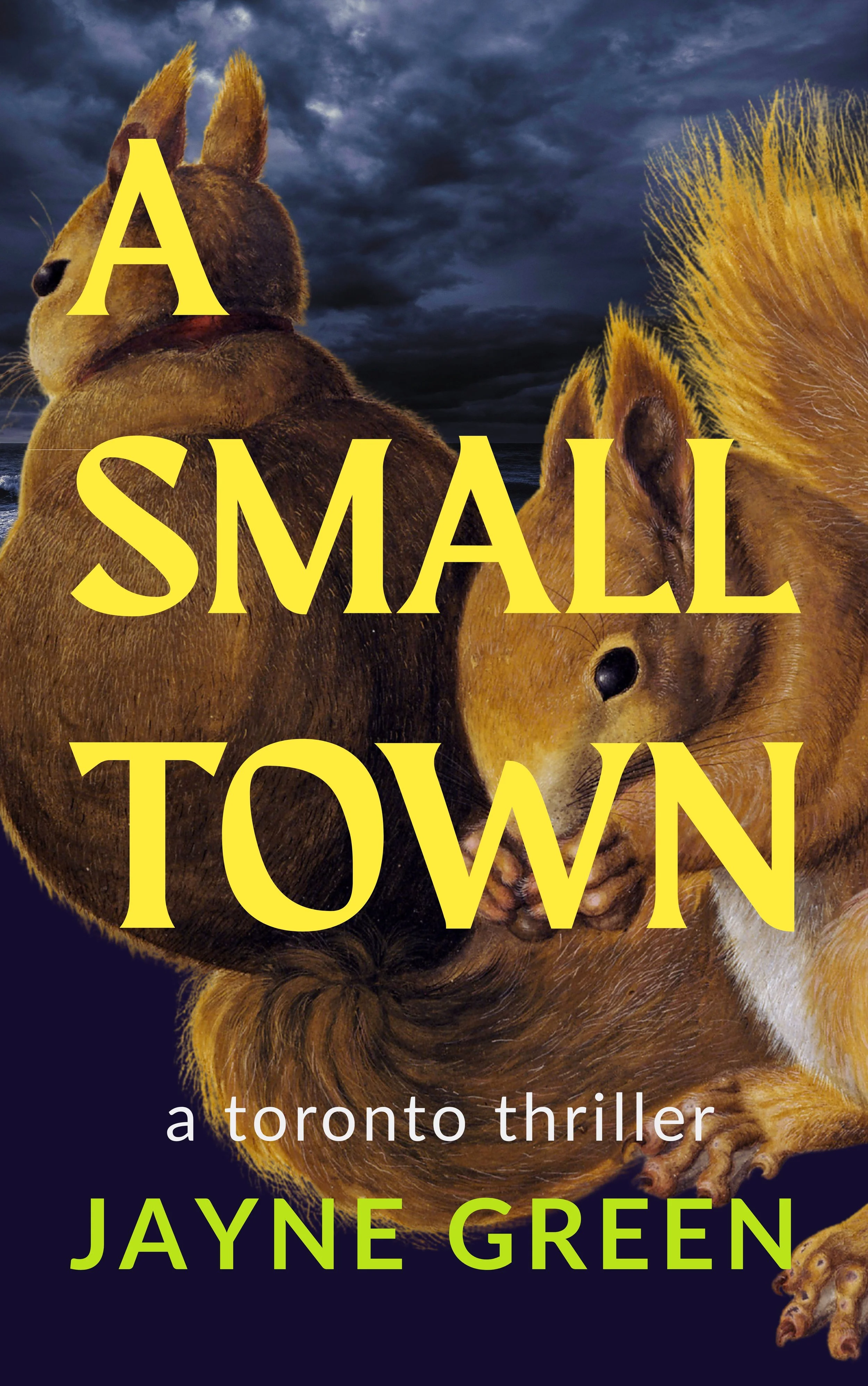 Small Town E-Book Cover.jpg