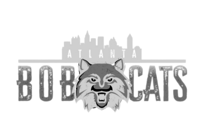 atlanta bobcats mens volleyball team that practices at TK Volleyball Club in Roswell Georgia