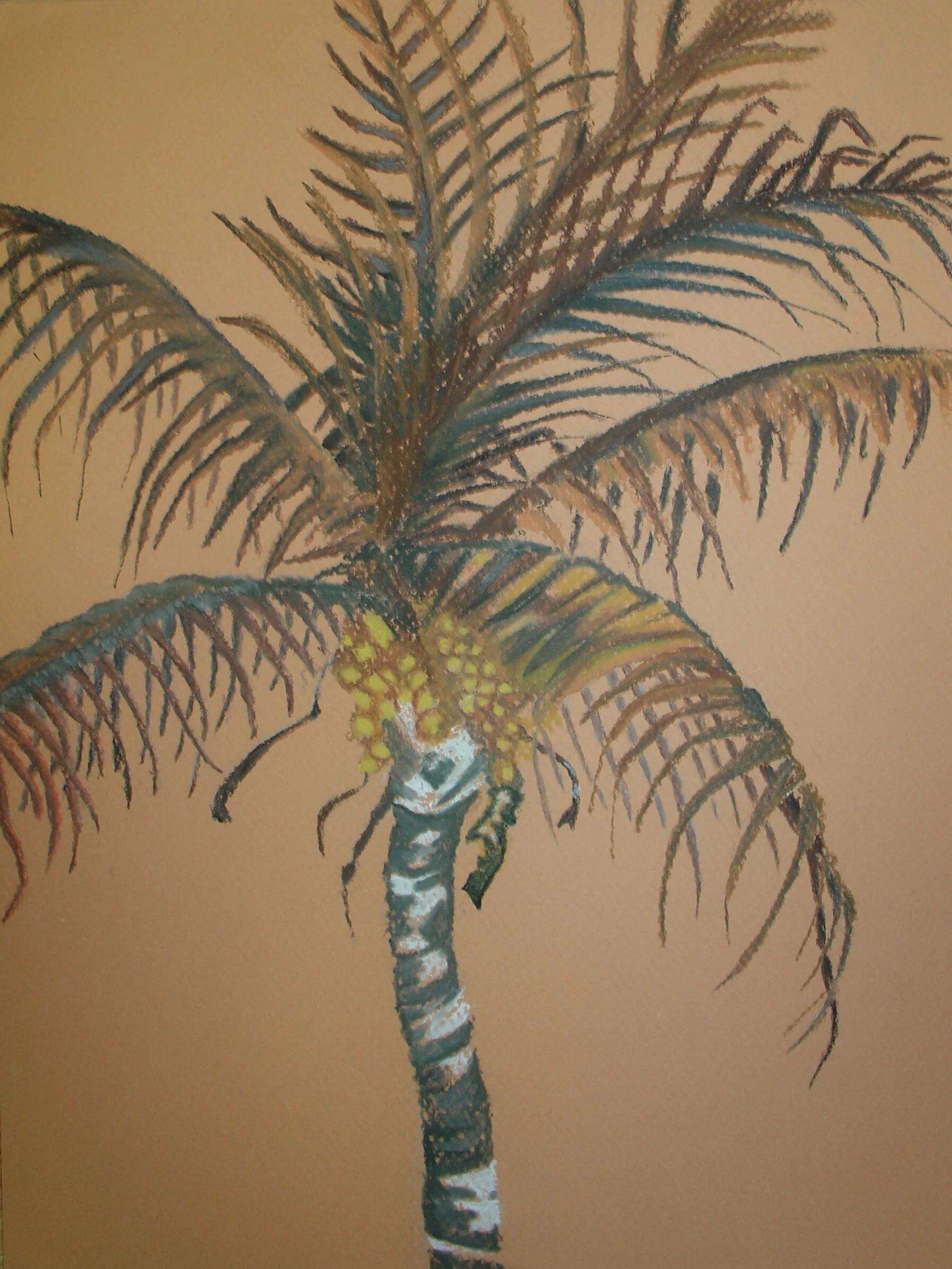 Brown Palm Tree
9" X 12" Chalk Pastel SOLD