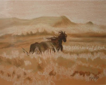 Black Horse on the Prairie 
9" X 12" Chalk Pastel CAD$80