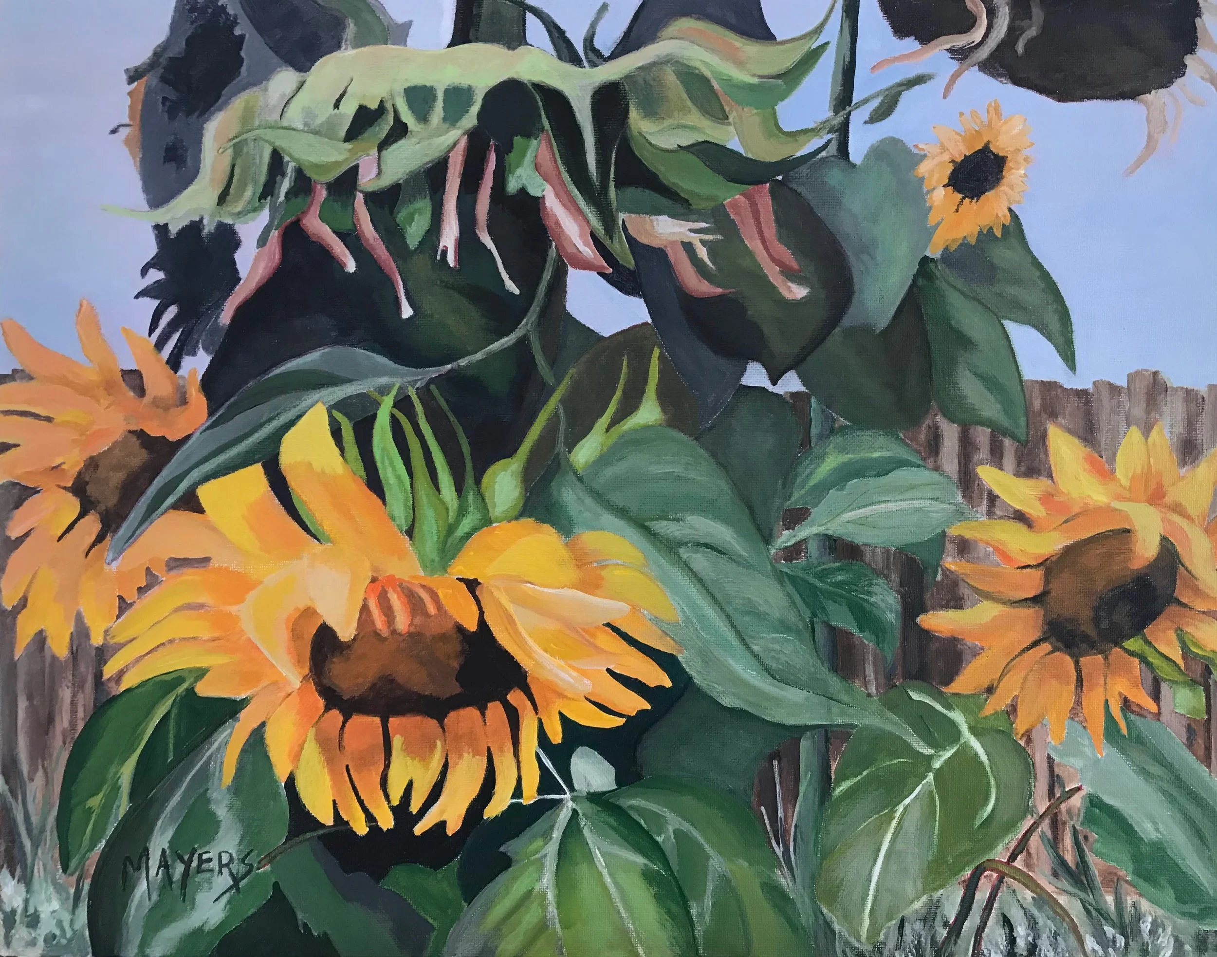 Fence Line Sunflowers  
14” x 18” Acrylic on Canvas CND$180 