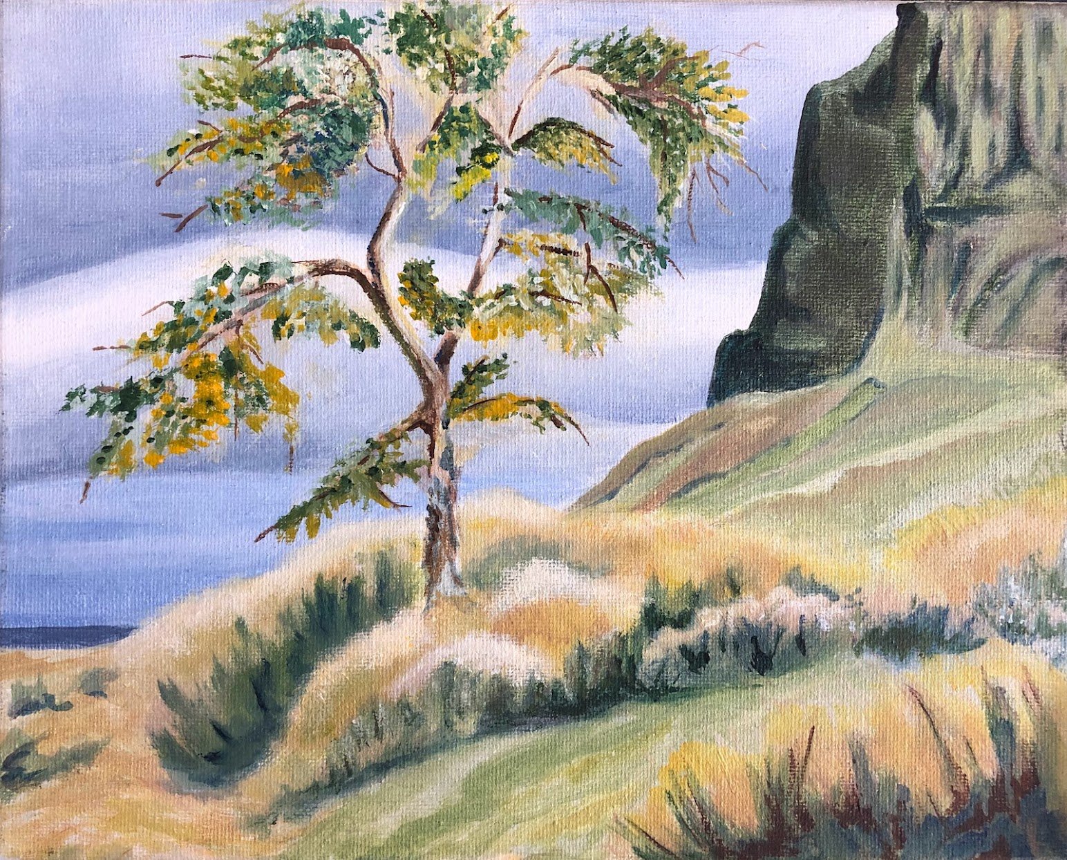 Columbia River Hillside, Oregon
Acrylic on Canvas 10" x 12"
$120.00 CAD