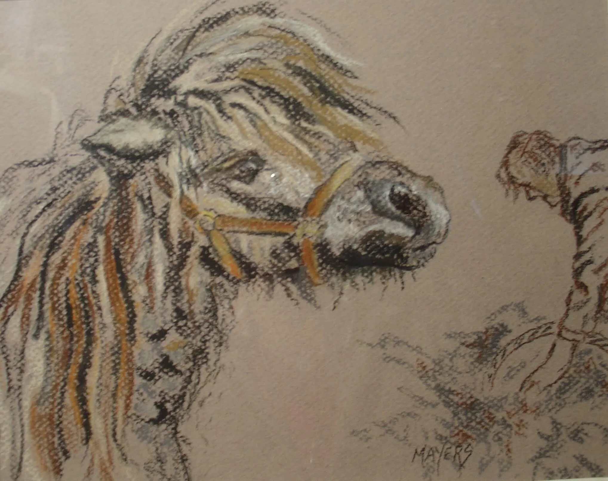 Shaggy Pony and Farmer 
9" X 12" Chalk Pastel CAD$80