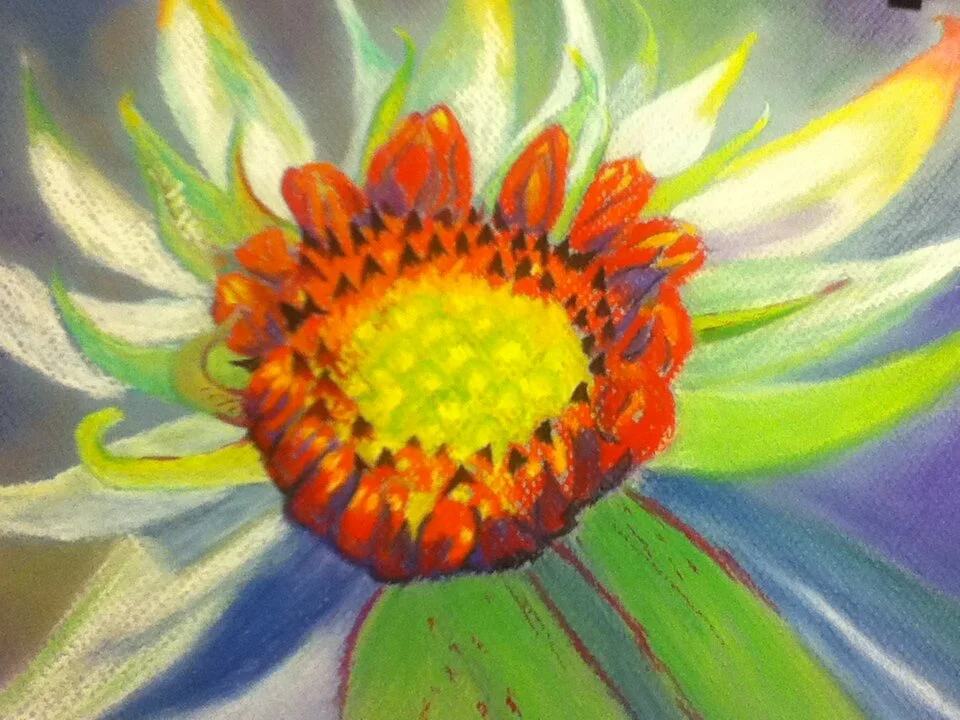 Cactus Bloom
9" X 12" Chalk Pastel CAD$80