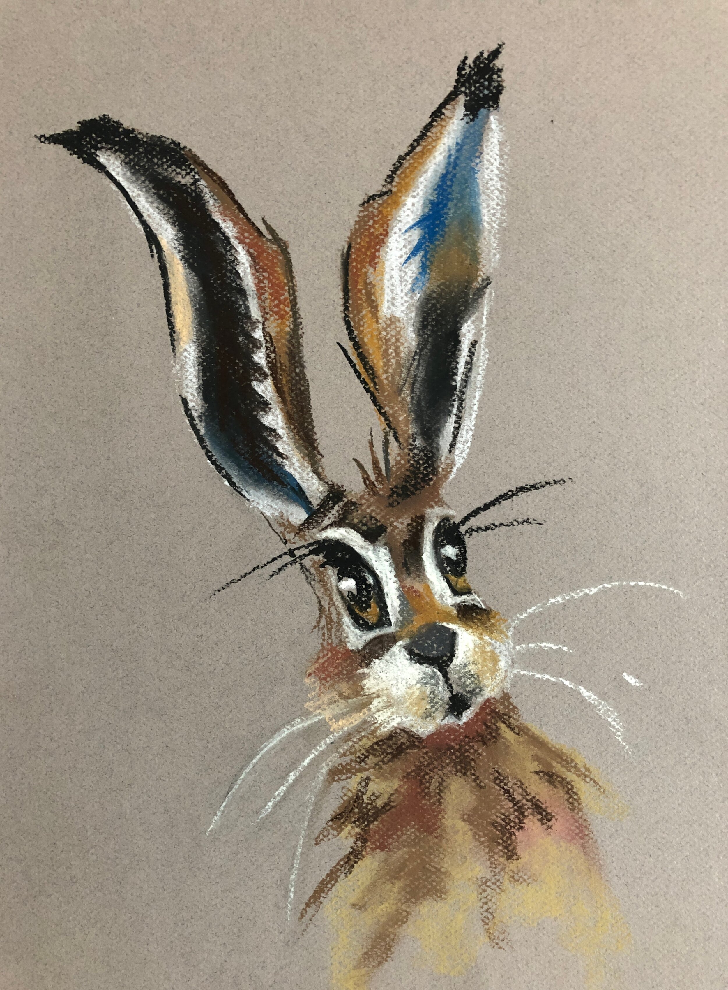 Jackrabbit (2020)
9" X 12" Chalk Pastel CADS80