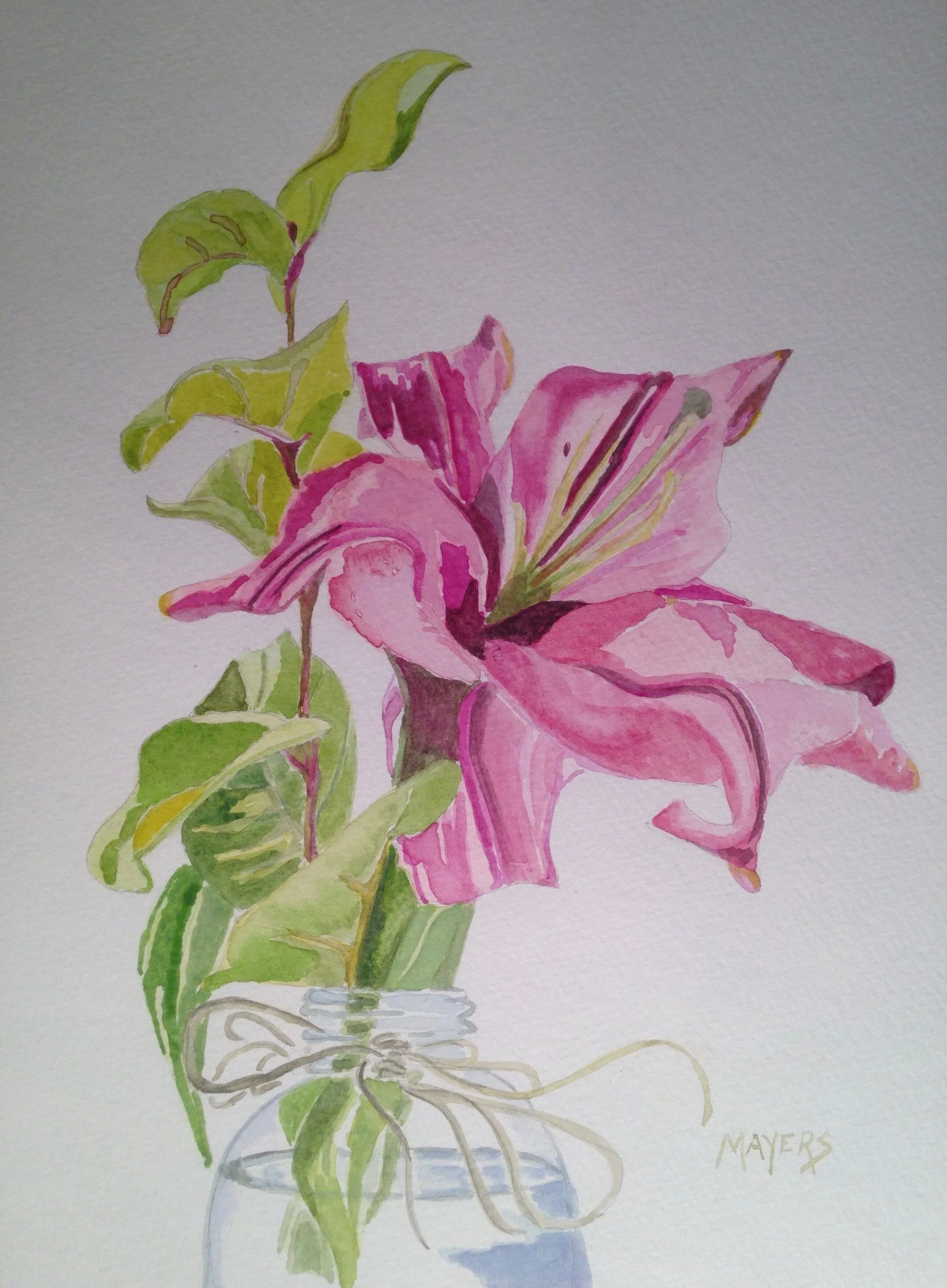 Pink Iris in Glass Vase
9" X 12" Watercolour SOLD