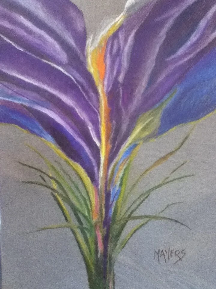 Purple Iris
9" X 12" Chalk Pastel CAD$80