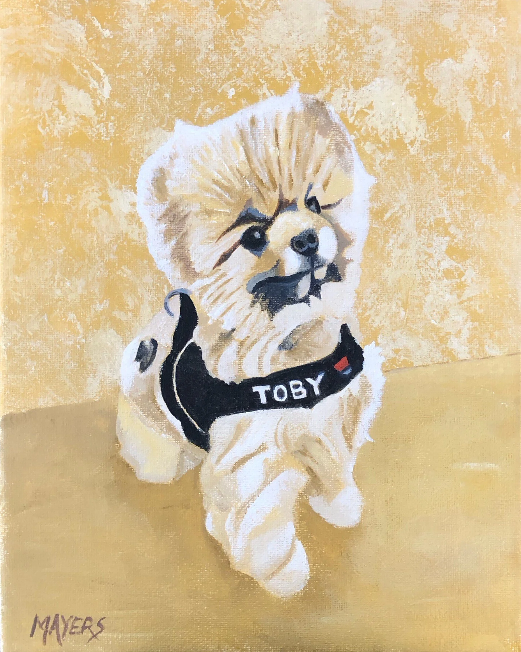 Toby the ‘Boy’ next door 
Commission 8” x 10” Acrylic Canvas SOLD