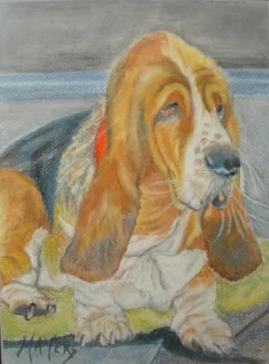Beagle in Wales 
9" X 12" Chalk Pastel CAD$80