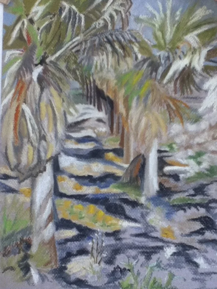 Desert Dunes Back of 10th Hole - Palm
9" X 12" Chalk Pastel CAD$80