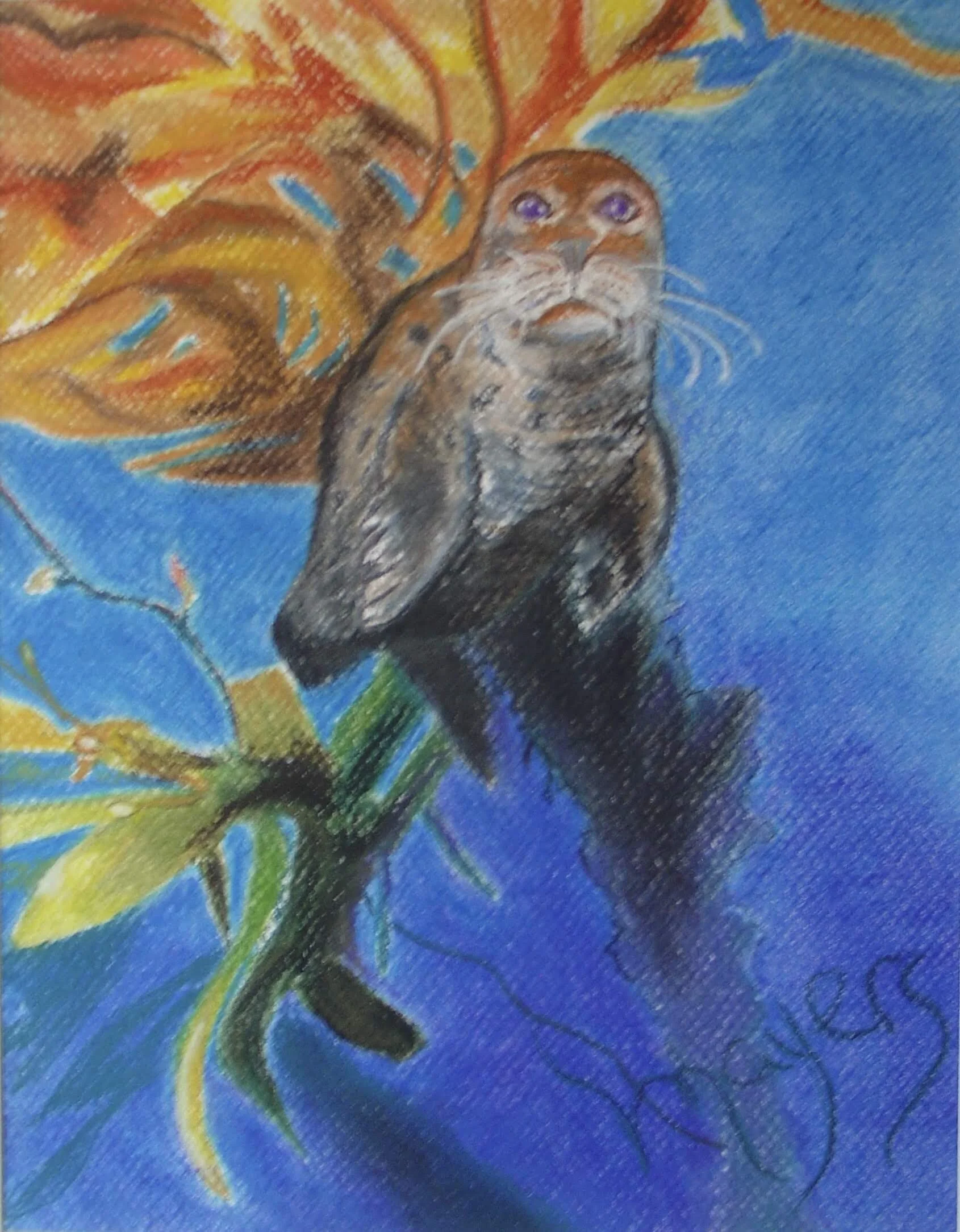 Seal in Kelp Bed
Chalk Pastel on Paper 9" x 12" CND$80