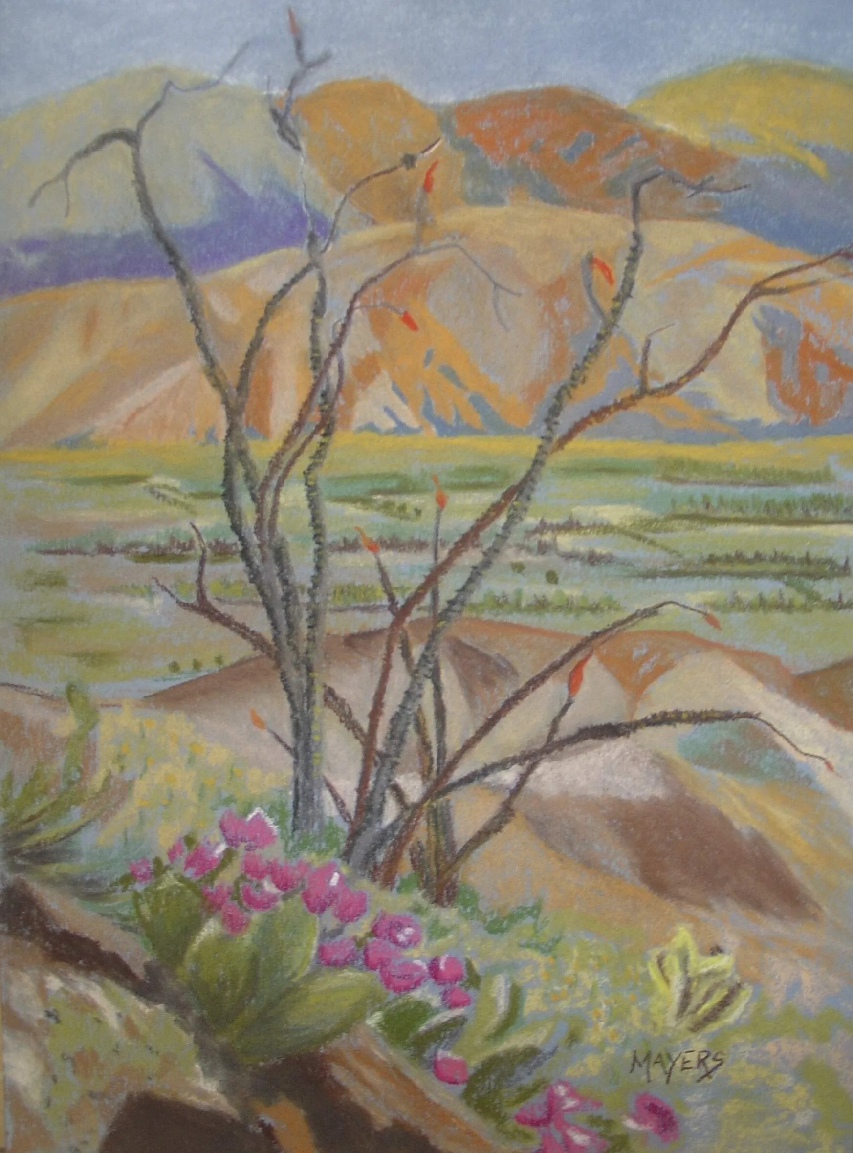 Borrego Springs
9" X 12 Chalk Pastel CAD$80