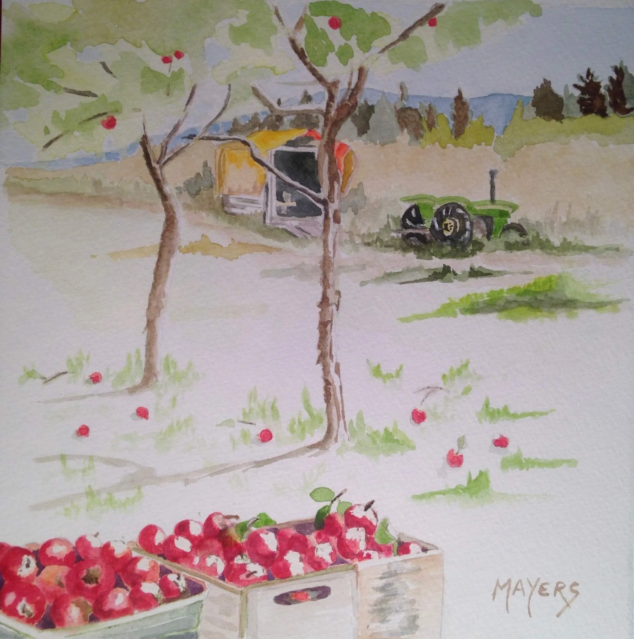 Apple Trees
9" X 12" Watercolour SOLD